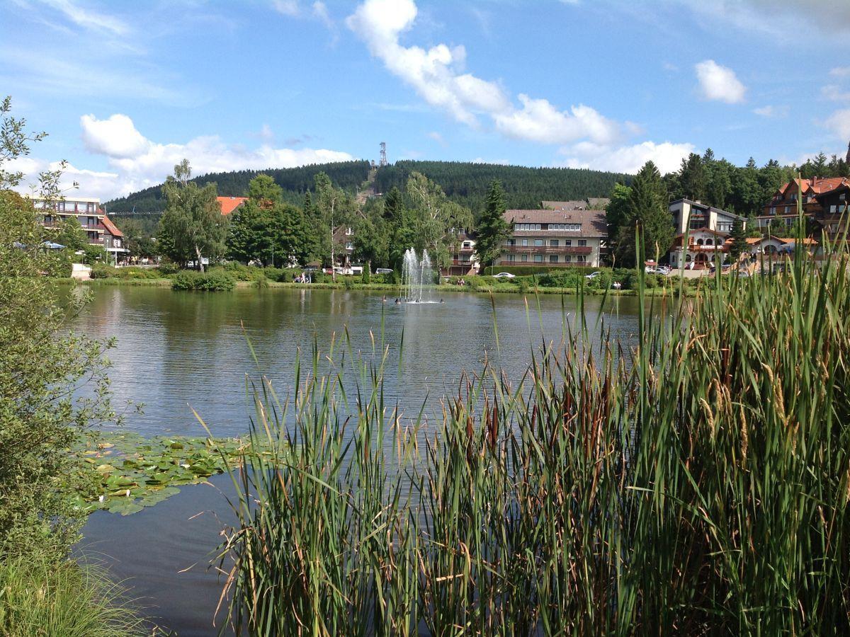 Bocksbergblick Fewo Auszeit Goslar Luaran gambar
